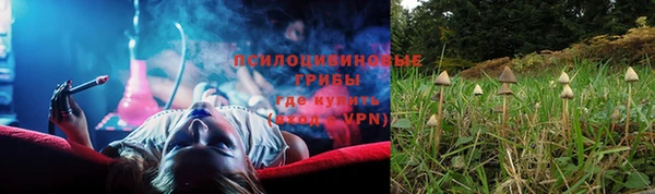 МДПВ Ростов