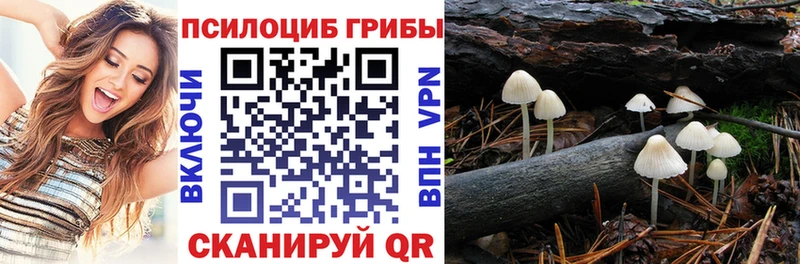 продажа наркотиков  Семёнов  дарк нет наркотические препараты  Галлюциногенные грибы мицелий 