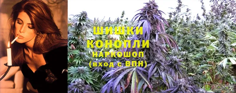 Шишки марихуана планчик  цены   Семёнов 